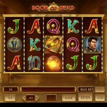 Wild Tokyo - Book of Dead Slot Game - Free Spins Australia