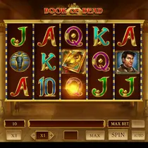 Wild Tokyo - Book of Dead Slot Game - Free Spins Australia